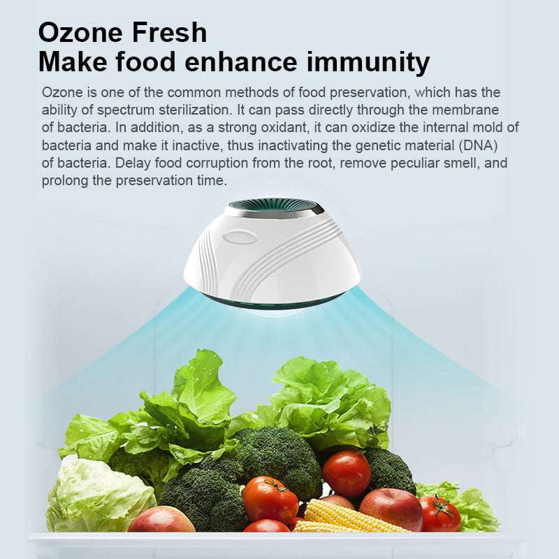 Compact Ozone Purifier, Fridge Freshness Enhancer, Household Odor Remover - available at Sparq Mart