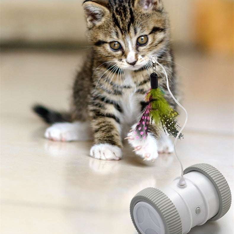 Electric cat toy, High-quality, Multifunctional roller - available at Sparq Mart