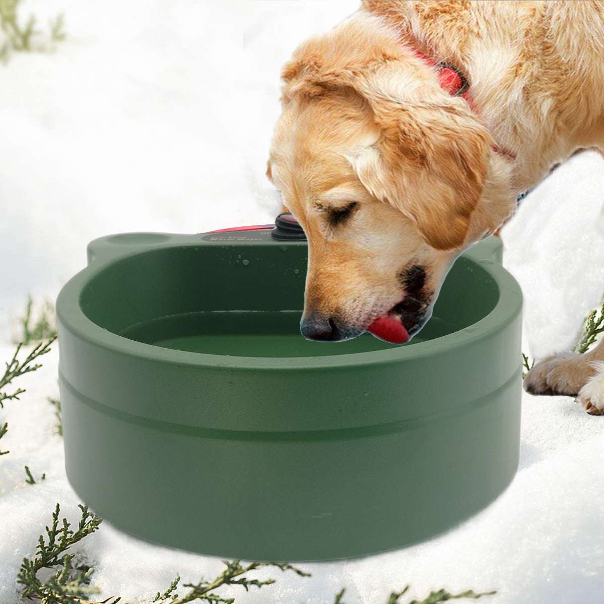 Cats, Dogs, Outdoor Heating Bowl, Pet Supplies - available at Sparq Mart