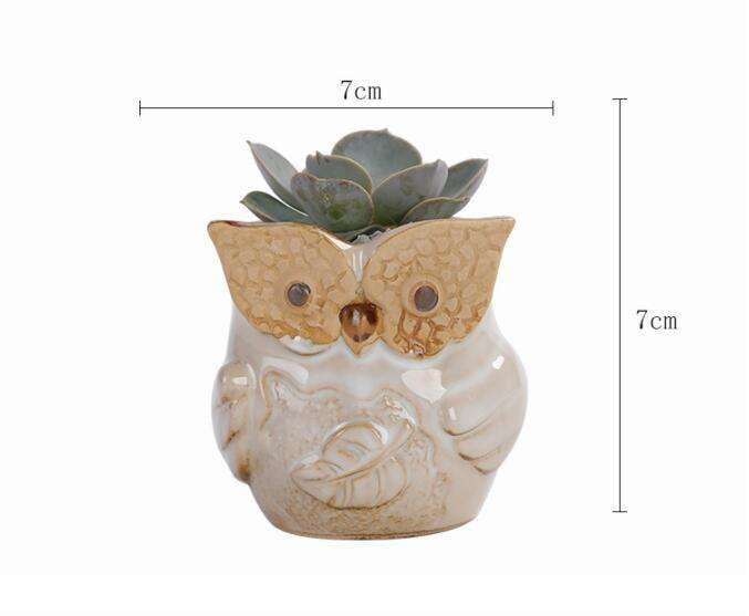 Kiln-Changed Pottery, Owl Planter Set, Succulent Basin Decor - available at Sparq Mart