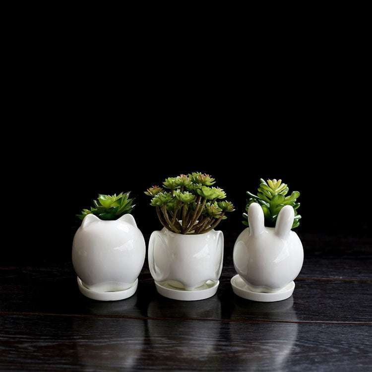 desktop succulent planter, indoor ceramic pot, small potted plant - available at Sparq Mart