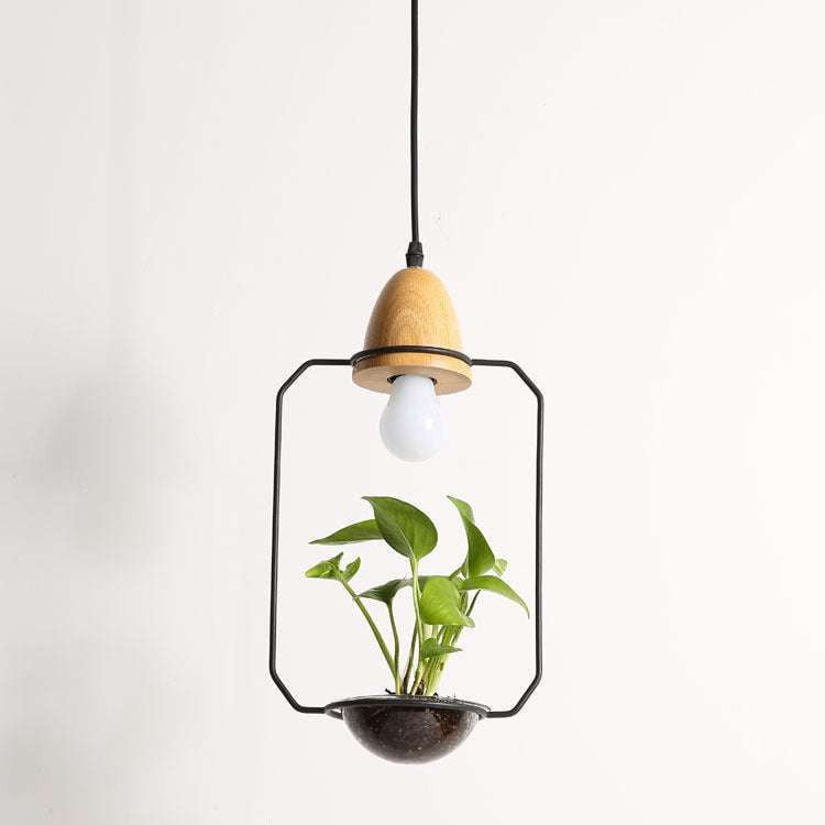 Decorative Plant Lights, Indoor Hanging Plants, Modern Chandelier Plants - available at Sparq Mart