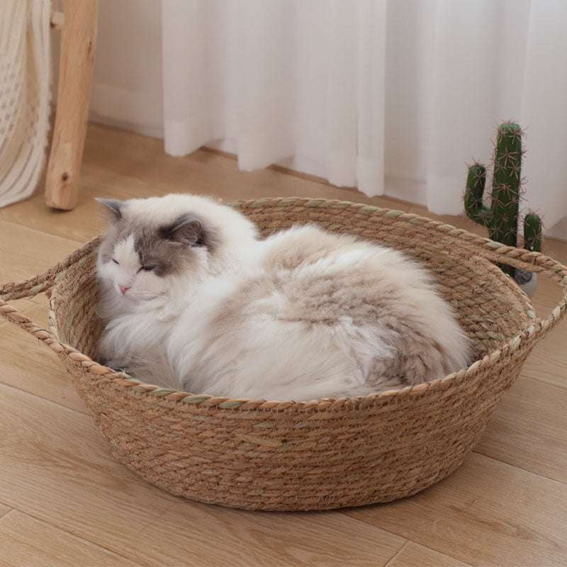 cool cat nest, summer cat bed, woven cat basket - available at Sparq Mart